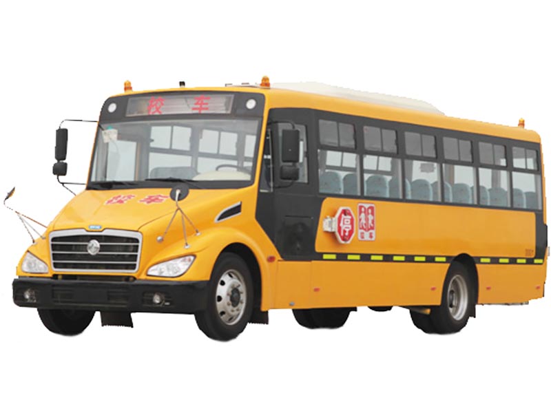 Dongfeng DFA6920 School Bus